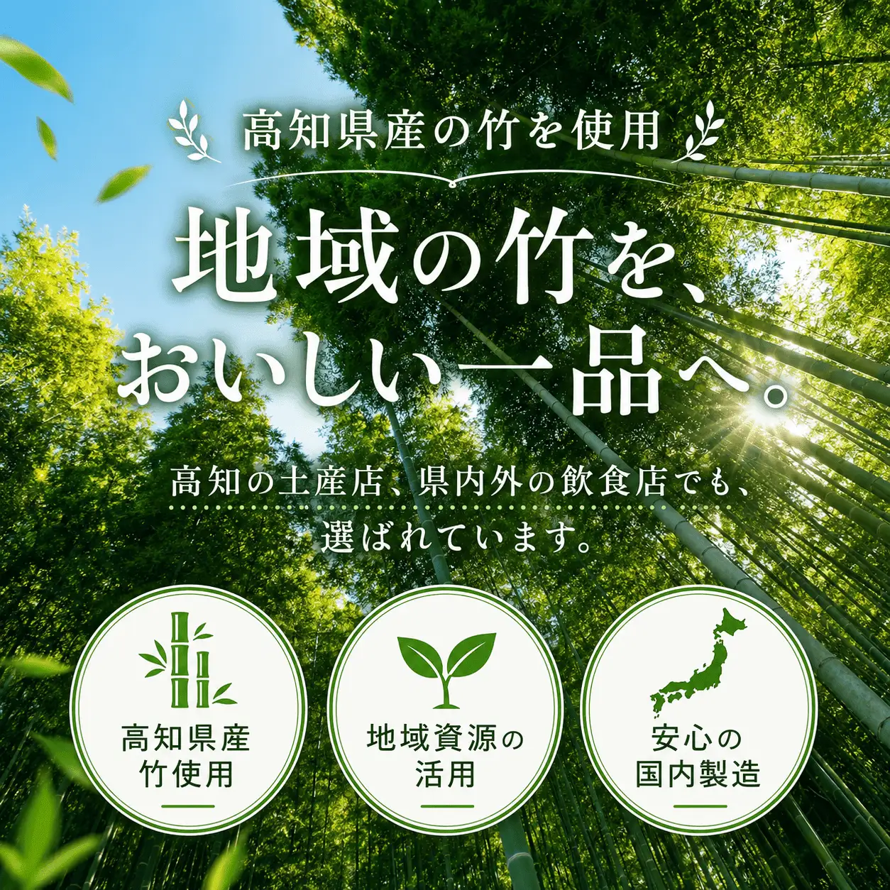 メンマ ピリ辛 170g × 3袋 | 国産 メンマ めんま 筍 たけのこ ラーメン 高知 南国市
