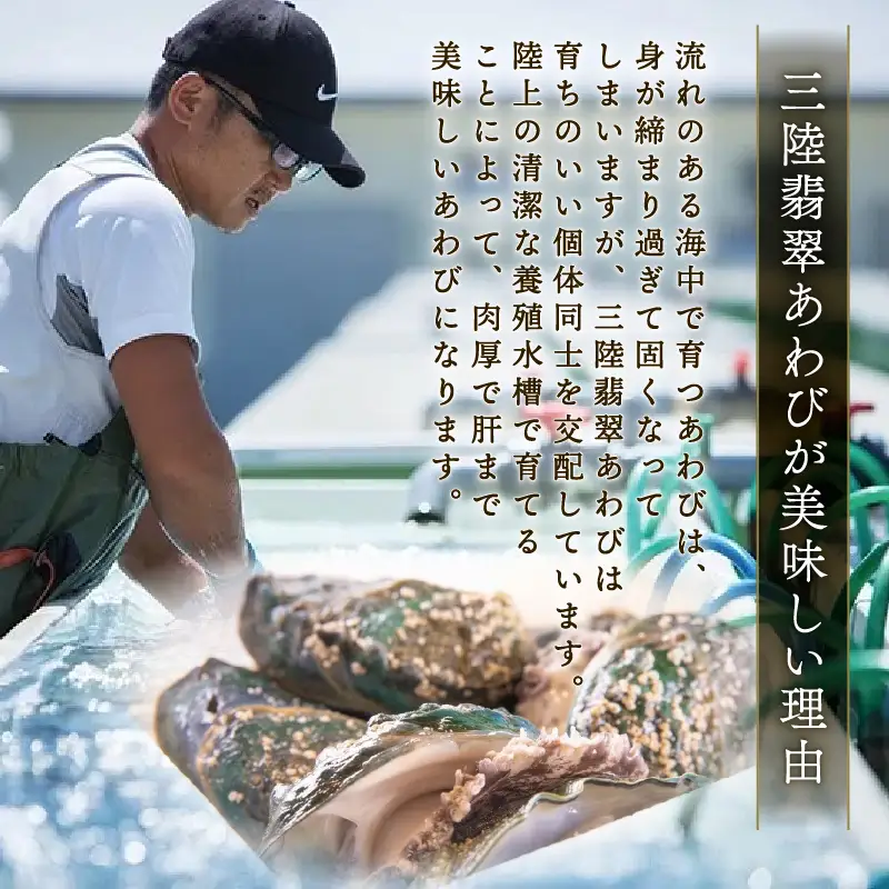 訳あり あわび4個 メキシカンチリスープ風