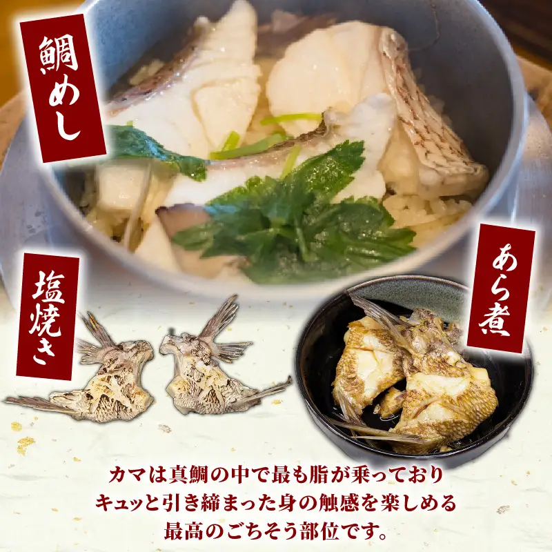 【冷凍】 南伊勢町産 鯛 カマ 10切入 真鯛 鯛めし							