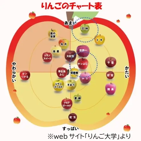 りんご詰合せ サンふじ王林青森県産贈答用 りんご詰合せ【約5kg】【11月発送】