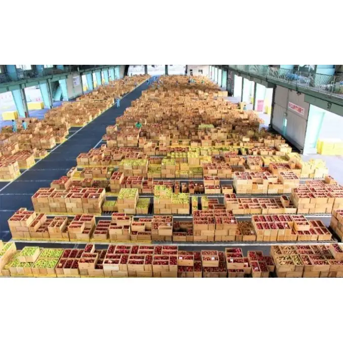 りんご詰合せ サンふじ王林 青森県産 贈答用 りんご詰合せ【約10kg】【11月発送】