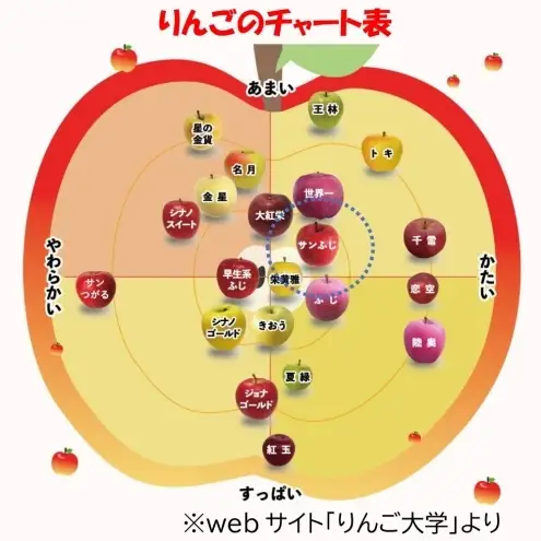 サンふじりんご青森県産贈答用サンふじ【約3kg】【11月発送】