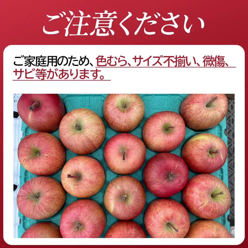 【先行受付】12月上旬より発送 樹上完熟りんご（サンふじ）家庭用 約10kg（約24～48玉） 喜三郎農園