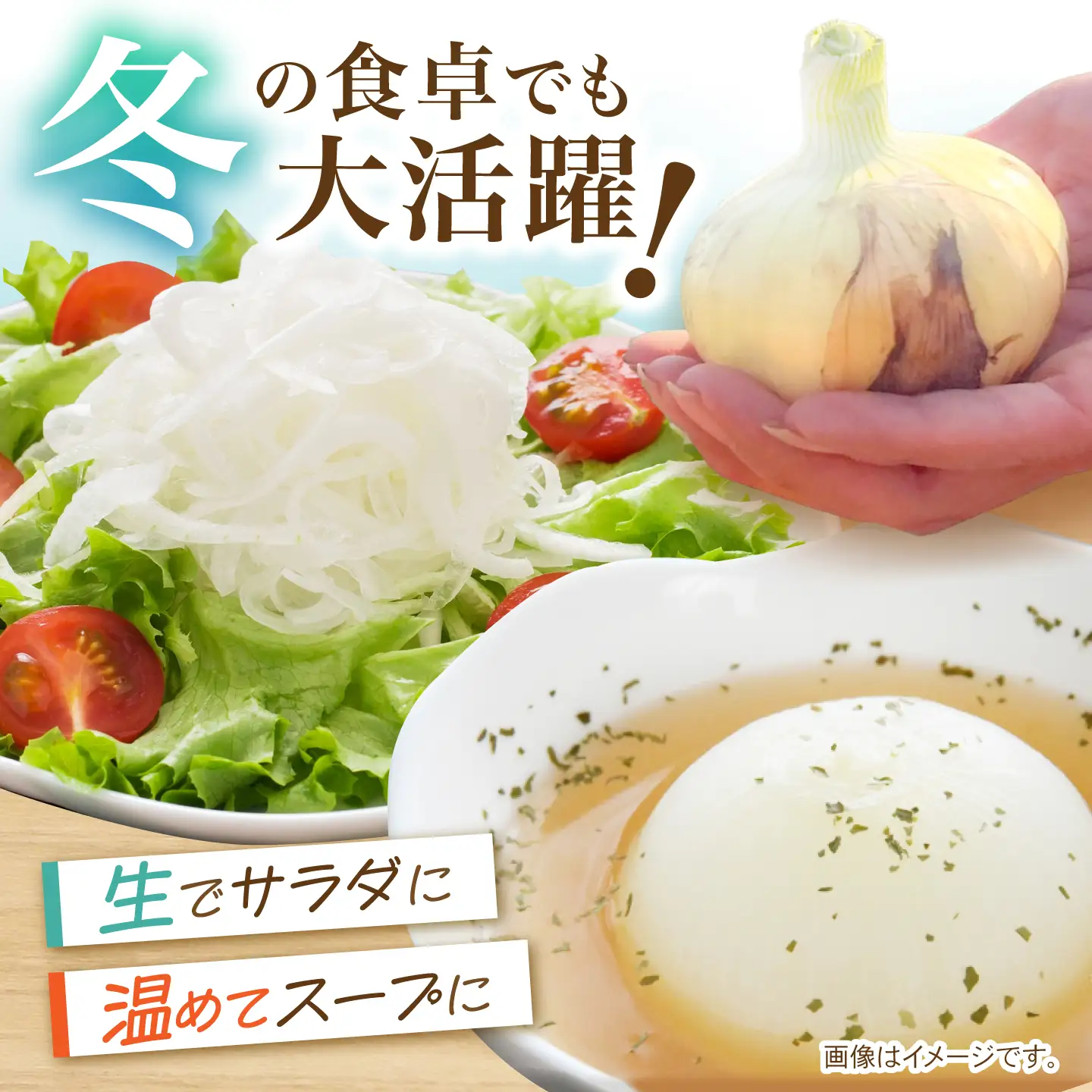 【先行予約 2027年1月〜発送】種から栽培するこだわり！冬どりたまねぎ5kg【藤武農産】[IDM002]