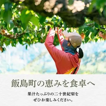 二十世紀梨 5kg 長野県飯島町産【1631988】