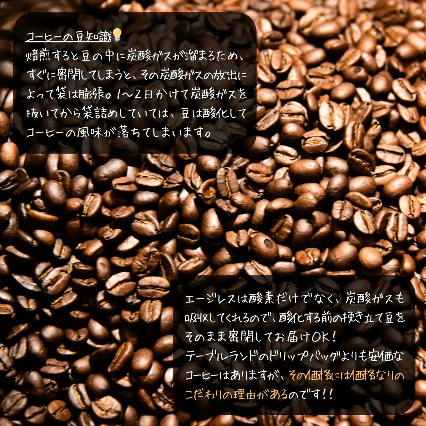 トンボカフェオリジナルブレンドコーヒー ドリップバッグ 6個 | ドリップ コーヒー 珈琲 八ヶ岳珈琲工房テーブルランド トンボカフェ [58212621]
