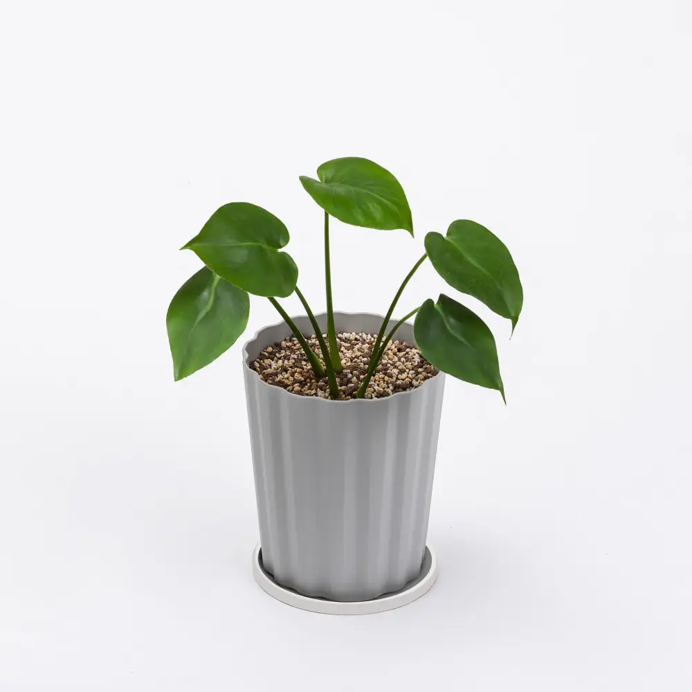 穏やかに育つ観葉植物の土 １０Ｌ IHPC-10L