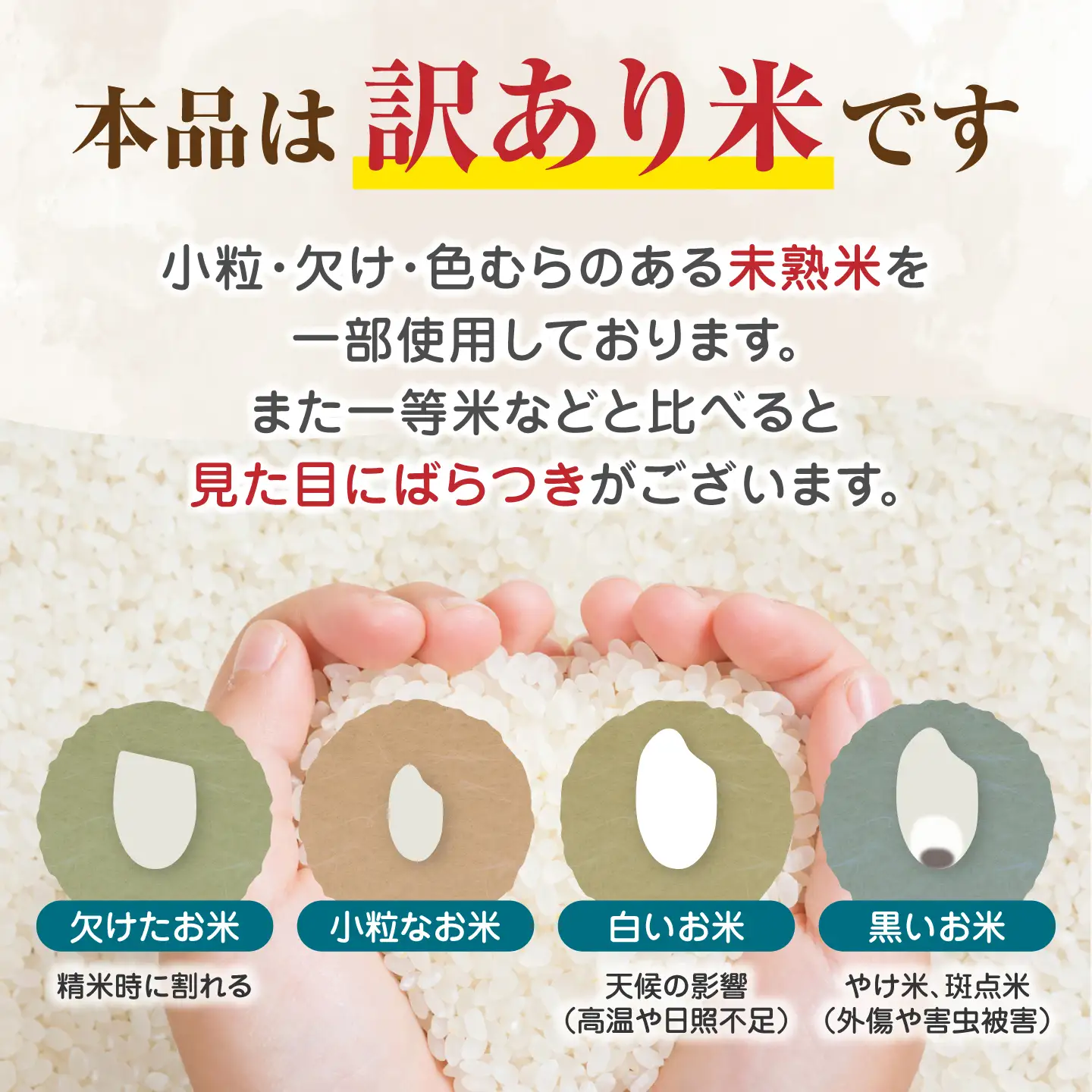 【先行予約】【全12回定期便】無洗米 灯籠米 10kg 令和8年産 熊本県産米 ブレンド米 送料無料 お米 国産 農家応援 【株式会社 農産ベストパートナー】[ZBP176]