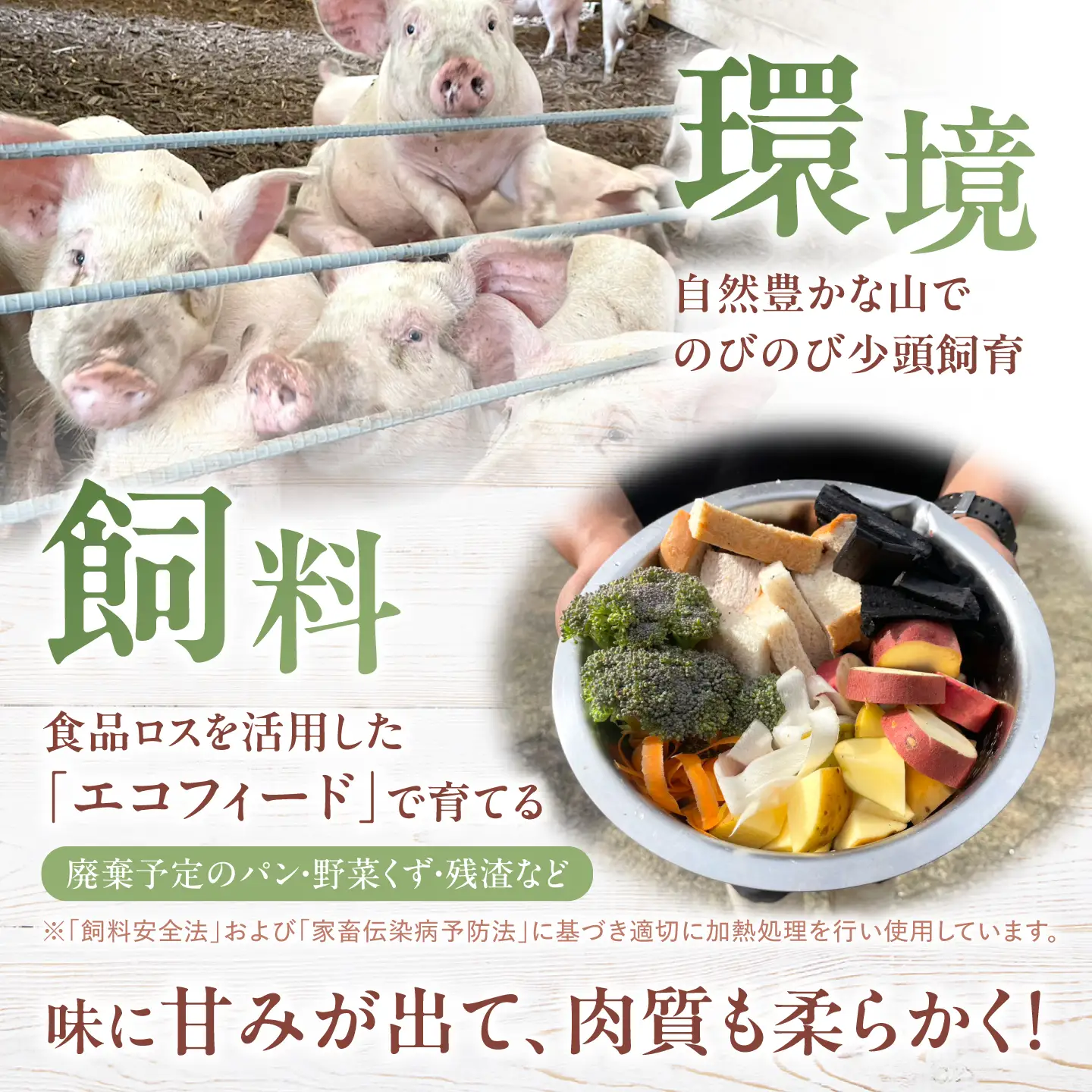 【12回定期便】西海市産 「炭美豚」 とんかつ用ロース2kg（250g×8パック）＜宮本畜産＞ 豚肉 とんかつ用 豚 便利 ロース 冷凍 国産 料理 使いやすい 甘い ブランド豚 ポーク 長崎 西海[CFA072]