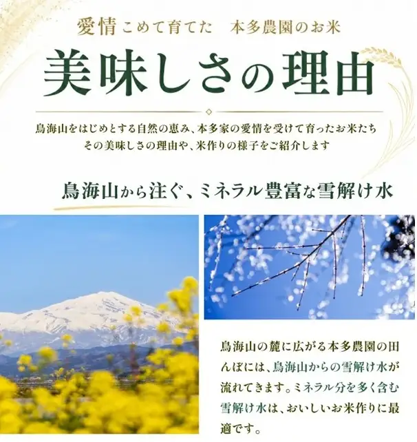SB0964　10月中旬配送／令和8年産【無洗米】雪若丸　10kg(5kg×2袋) 農家直送 HO