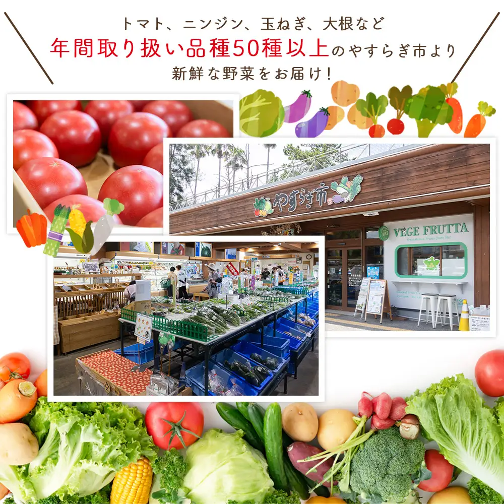 【先行予約】 新玉ねぎ ３ｋｇ 家庭用 yr-0121