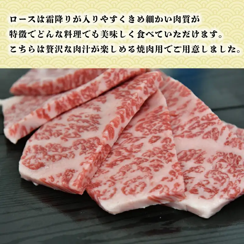  多気郡産 松阪牛 ロース 焼肉用 500g 肉 牛 牛肉 和牛 ブランド牛 高級 国産 霜降り 冷凍 ふるさと 人気 焼肉 BBQ バーベキュー L6