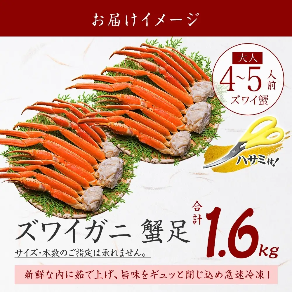 ズワイガニ 蟹足 ボイル 約800g×2【計1.6kg】 北海道 3479