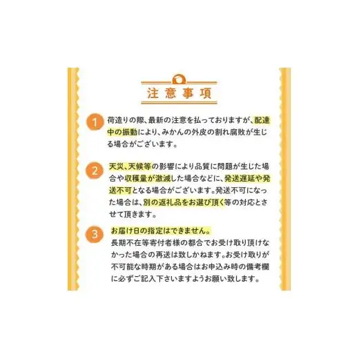 土佐文旦 優品 10kg　先行予約 2027年２月から順次発送 高知県産 