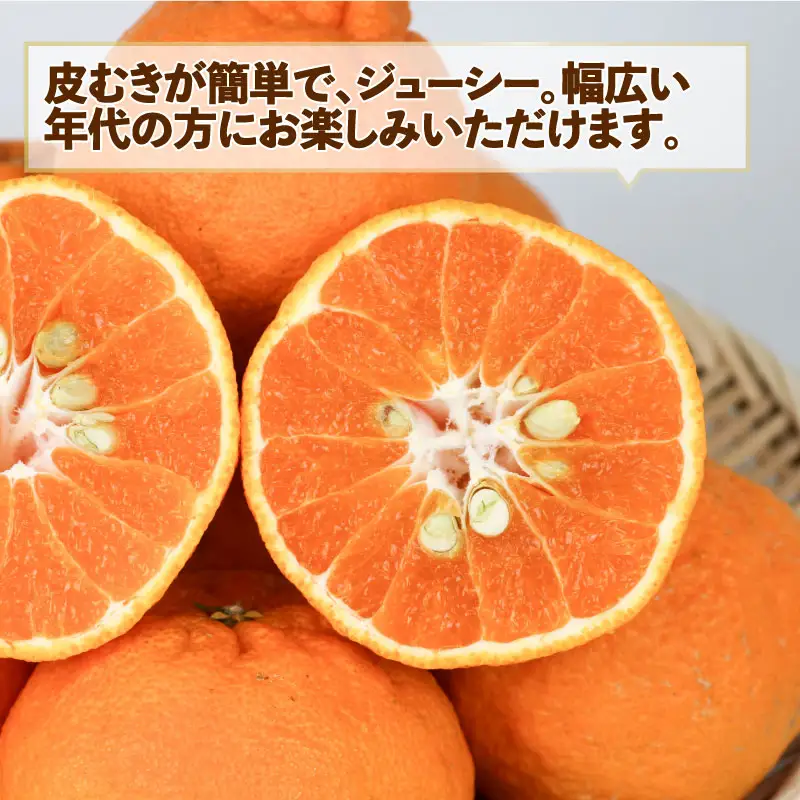 みかん 訳あり 不知火 ( デコポン と同品種) 約 5kg スーパー山田屋 先行予約 しらぬい 甘い 果物 くだもの フルーツ 柑橘 mikan 蜜柑 愛媛蜜柑 愛媛みかん わけあり サイズ 不揃い 産地直送 数量限定 国産 愛媛 宇和島 B010-198009