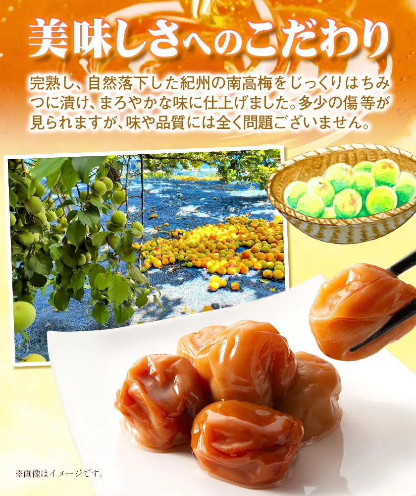 南高梅　わけあり 紀州南高梅 はちみつ梅 2.6kg