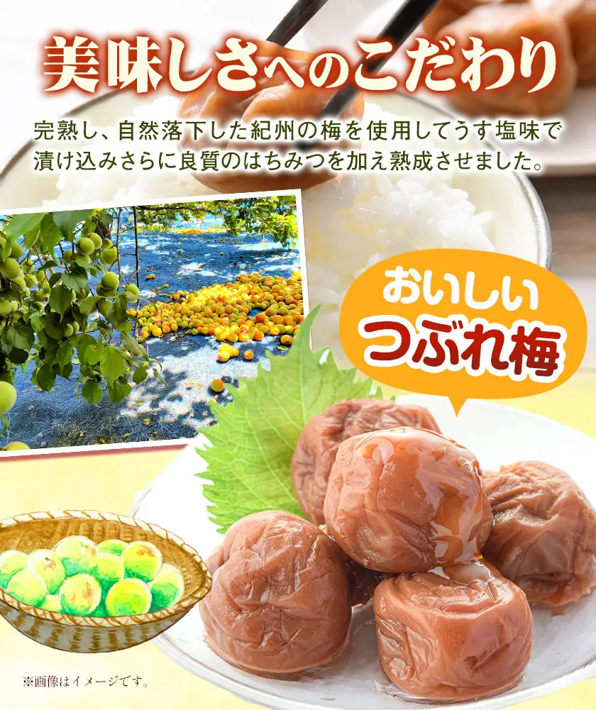 ご家庭用 紀州南高梅 はちみつ梅 つぶれ梅 大容量 約1.2kg 