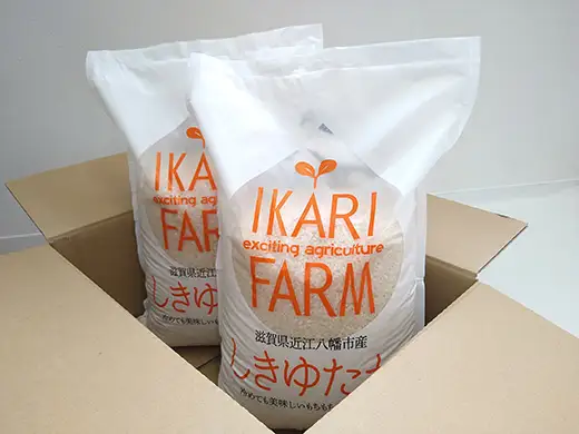 【新米　先行予約】令和8年産すっごいもちもち 「しきゆたか」 白米【10kg(5kg×2袋)】【C071W】