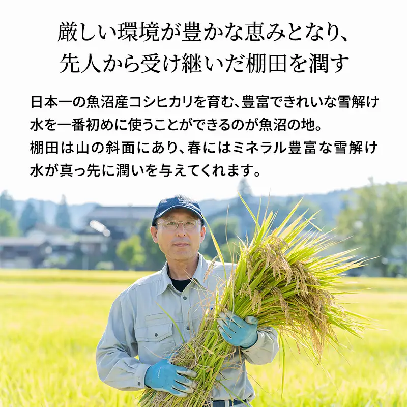 【令和8年産　先行予約】有機JAS認証米 米農家自慢の 魚沼産 コシヒカリ精米3kg×1袋 米 お米 こめ こしひかり 白米 有機 新潟県 魚沼市 魚沼