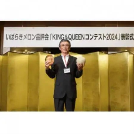 【先行受付】令和9年4月より順次発送 茨城県鉾田市 山一ファーム アンデスメロン 3L～4L・1玉【配送不可地域：離島・沖縄県】【1759307】
