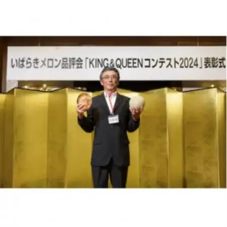 【先行受付】令和9年4月より順次発送 茨城県鉾田市 山一ファーム アンデスメロン 3L～4L・2玉【配送不可地域：離島・沖縄県】【1759309】