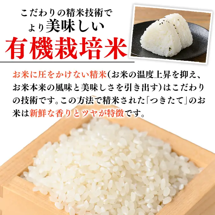 No.1372-A 鹿児島県産 精米 (5kg) 国産 九州産 鹿児島 お米 小分け 米 白米 おこめ ごはん ご飯 ライス 弁当 おにぎり 定期便 【新川園芸】