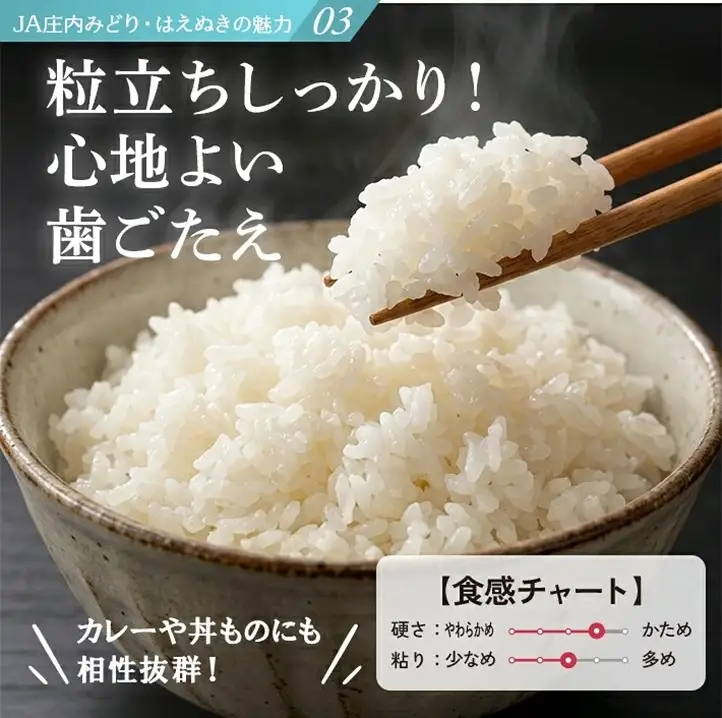 SZ0410　11月上旬配送／令和8年産【精米】庄内産 はえぬき　5kg×1袋 JM