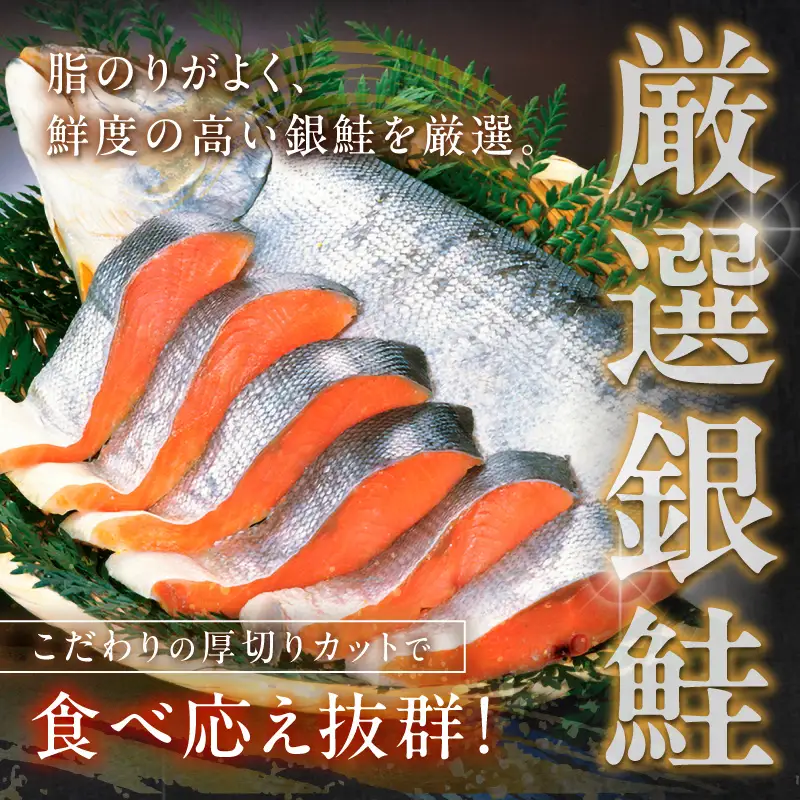 お手軽！絶品！厚切り　塩銀鮭切身 約1kg（プロトン凍結　訳あり　不揃い）　定期便　隔月×3回 ふるさと納税 鮭 しゃけ 銀鮭 切り身 定期便 サーモン ふるさと納税 シャケ