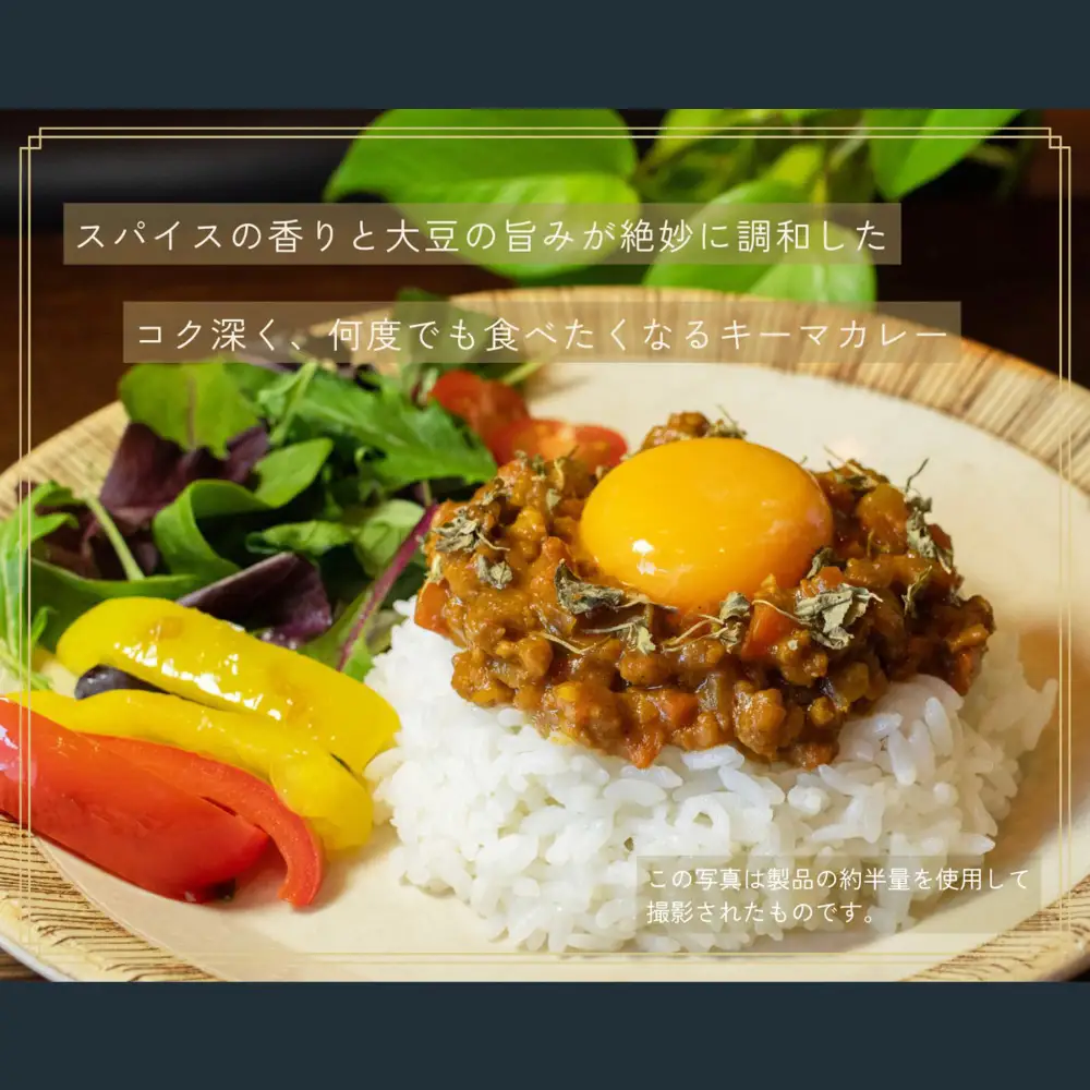 豆蔵のキーマカレー 約150g 4個入り 計約600g キーマカレー カレー カレーライス カレーソース 大豆 プラントベース スパイス おかず お惣菜 冷凍 冷凍食品 湯煎 スパイシー [ 010-0294 ]