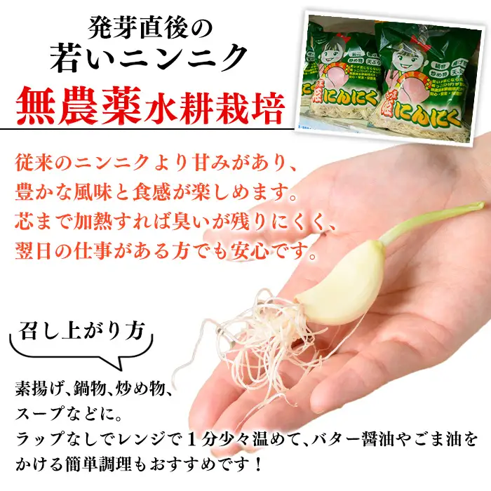 No.1374 鹿児島県産 さつま姫にんにく(20個×2袋・計40個) 国産 九州産 鹿児島 にんにく ひげにんにく ニンニク 調味料 【新川園芸】