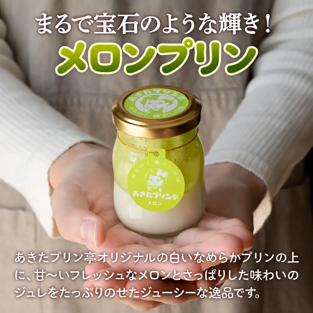 あきたプリン亭 メロンプリンセット 6個入り
