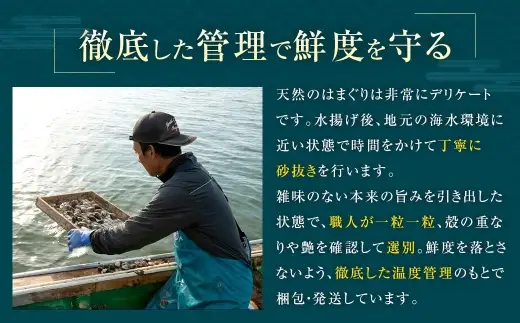奥山安蔵商店 はまぐり 約1kg 特製だし汁付き 蛤 貝 魚介 魚介類 海鮮 地はまぐり 希少 出汁 酒蒸し 焼きはまぐり 産地直送 冷蔵
