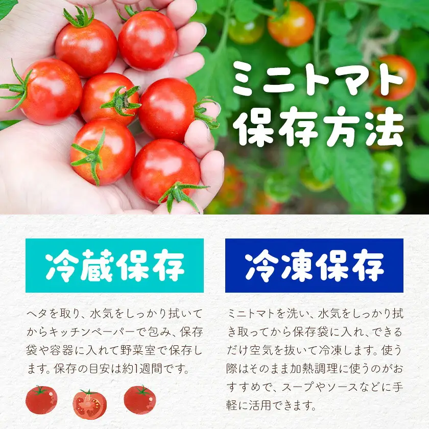 ミニトマト ほれまる 約1kg 熊貴農園
