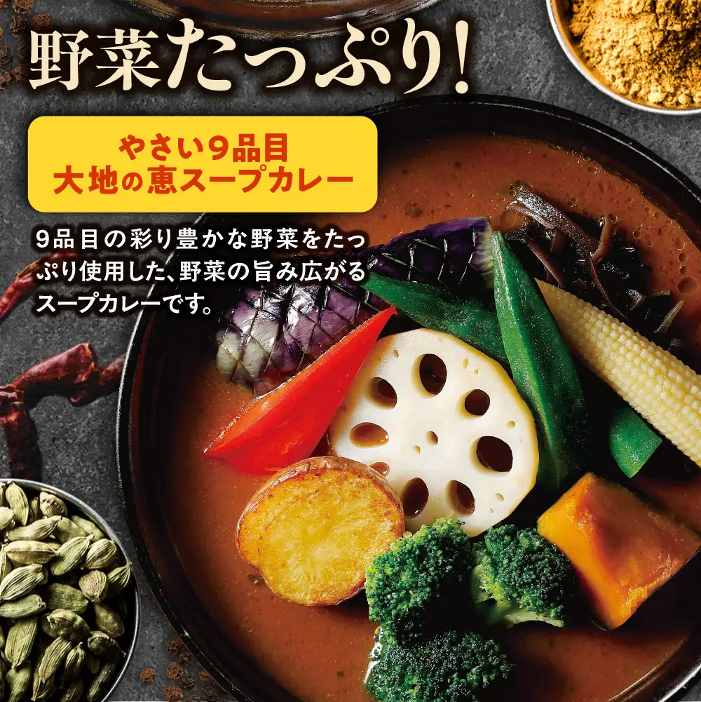 家GARAKU やさい9品目大地の恵スープカレー | スープカレー GARAKU 札幌スープカレー カレー 北海道 札幌市