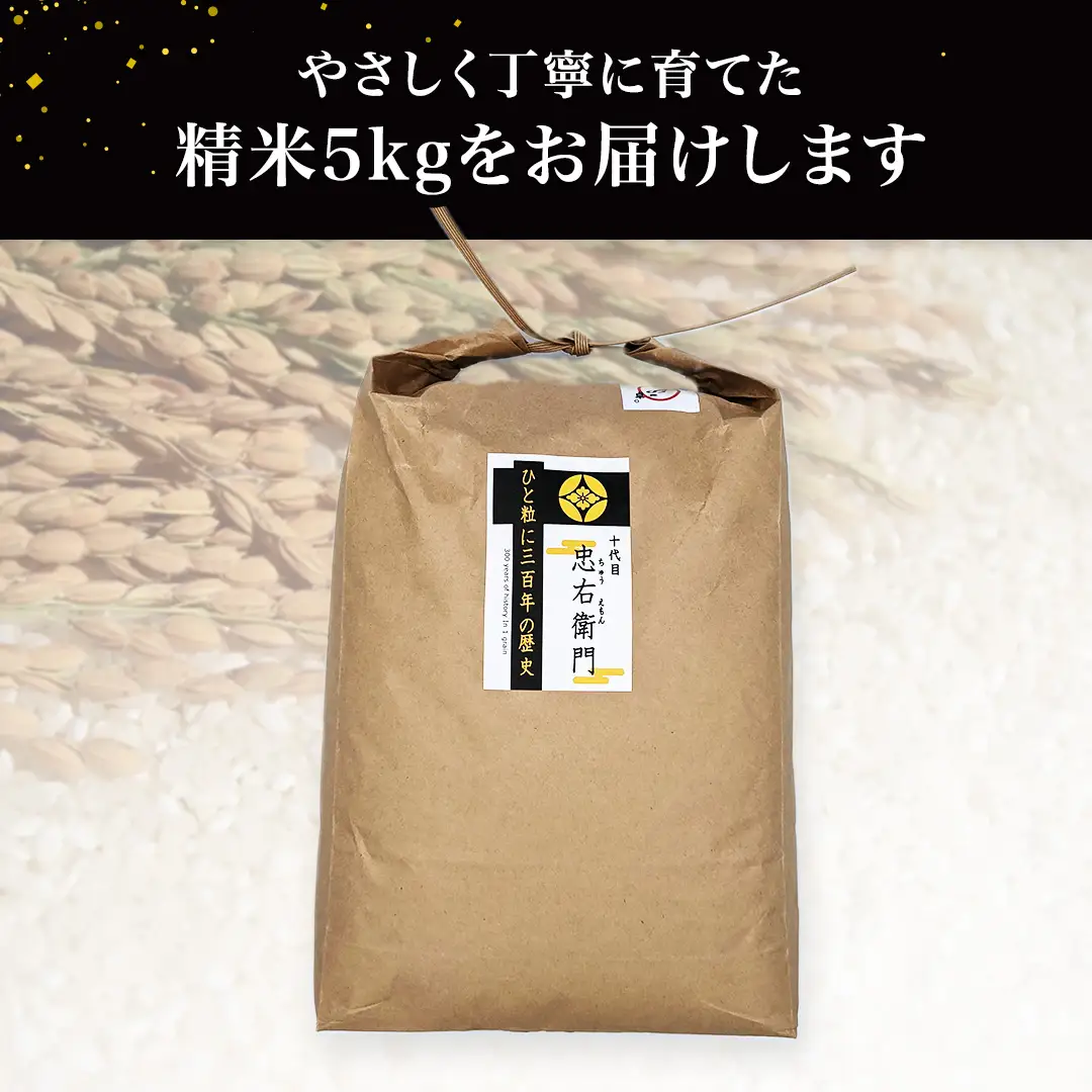 令和7年産 ＜ 9月出荷 ＞ 精米 5kg 三百年 続く農家 の 有機特別栽培米 コシヒカリ お米 白米