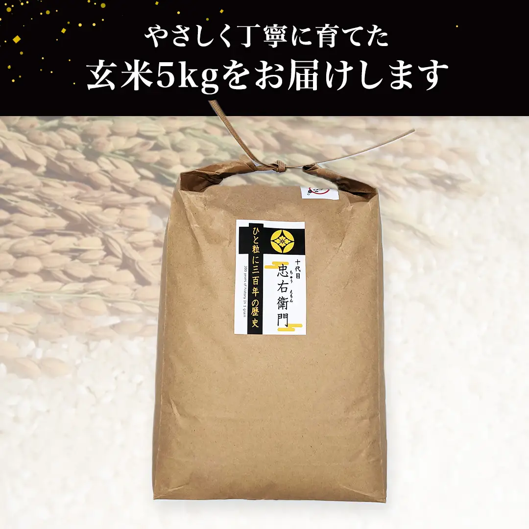 令和7年産 ＜ 9月出荷 ＞ 玄米 5kg 三百年 続く農家 の 有機特別栽培米 コシヒカリ お米 白米