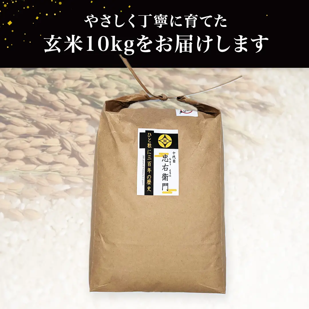 令和7年産 ＜ 9月出荷 ＞ 玄米 10kg 三百年 続く農家 の 有機特別栽培米 コシヒカリ お米 白米