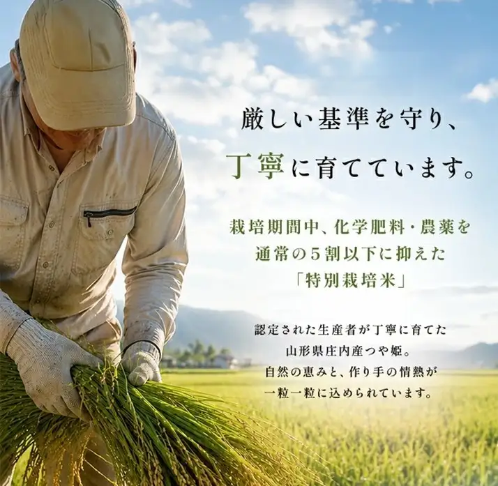 SH0097　8月下旬発送開始／【6回定期便】［精米］特別栽培米 つや姫　5kg×6回(計30kg) JM