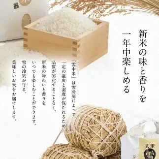 令和8年産 特Aランク米 ななつぼし 玄米 20kg（10kg×2袋）【2月発送】 雪冷気 籾貯蔵 雪中米 北海道 nr-2168