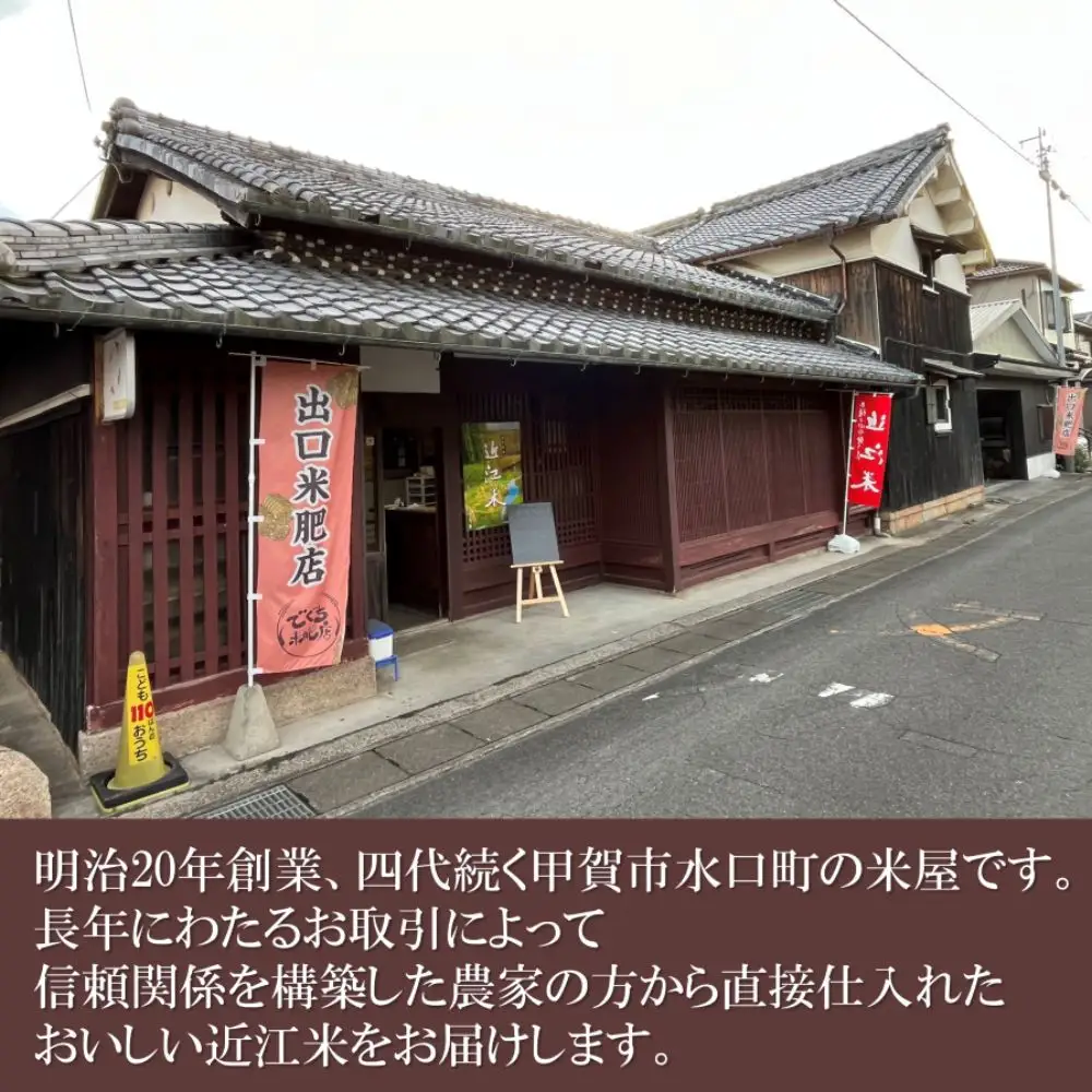 【令和8年産 新米 先行予約】近江米きぬむすめ玄米30kg※2026年9月～発送