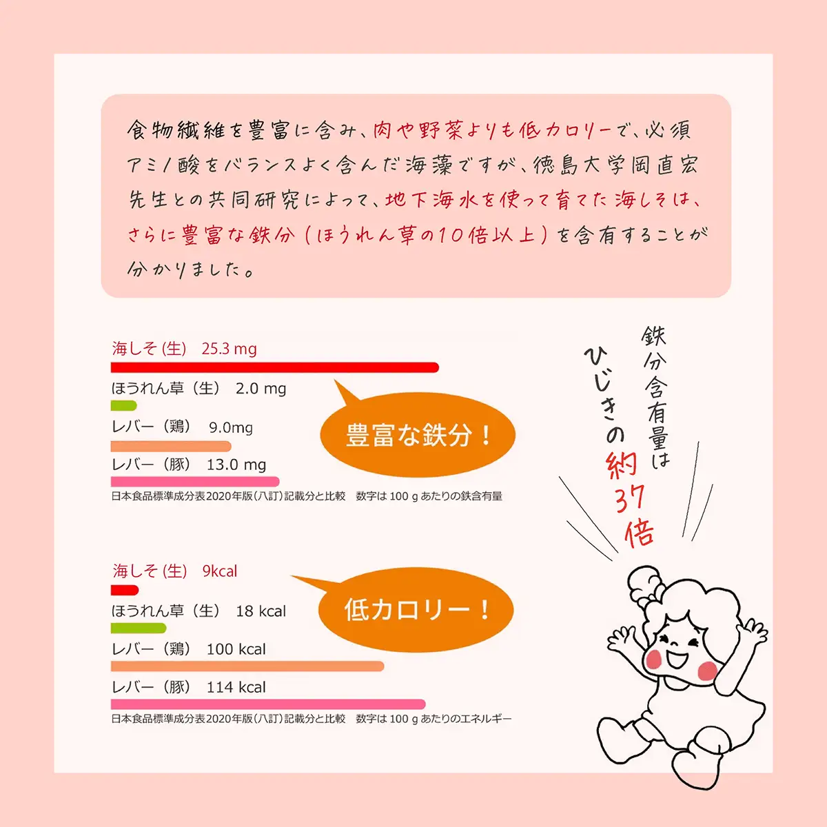 鉄分たっぷりの海藻 海しそ（あかねそう）（乾燥） 24g×3袋