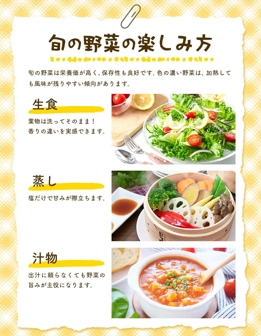 野菜 旬の野菜セット Sサイズ 約6～7種 ベジLIFE!! 【配送不可地域あり】（沖縄・離島）