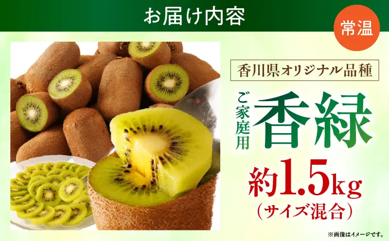 【先行受付】ご家庭用香緑キウイ　約1.5kg【香川県共通返礼品】 | キウイ フルーツ 果物 香川県 香緑 デザート サラダ ヨーグルト トッピング 国産 季節限定 青果物 旬 おすすめ |_mk006-133