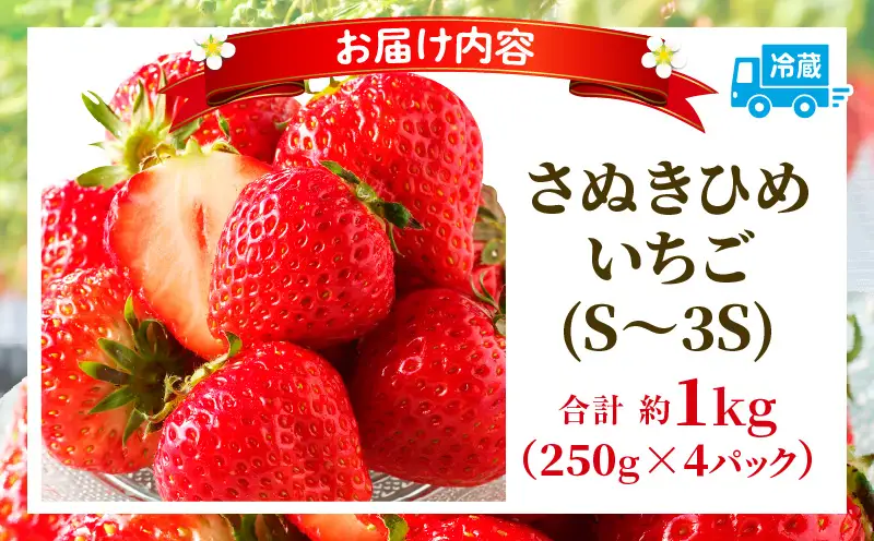 【先行予約】【期間限定】可愛い丸々小粒さぬきひめいちご　約1kg | スイーツ いちご ストロベリー さぬきひめ 苺 冷蔵 フルーツ 旬 果物 青果 青果物 お裾分け ギフト 香川県 デザート 青果物 先行予約 季節限定 旬 おすすめ 三木町 |_mk006-139