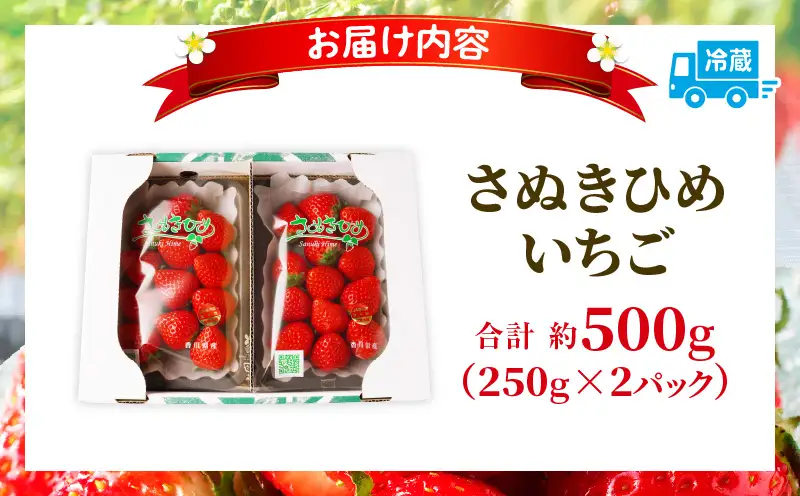 【先行予約】【出荷最盛期・感謝企画】数量限定!!さぬきひめいちご　約500g | スイーツ いちご ストロベリー さぬきひめ 苺 冷蔵 フルーツ 旬 果物 青果 青果物 お裾分け ギフト 香川県 デザート 青果物 先行予約 季節限定 旬 おすすめ 三木町 |_mk006-140