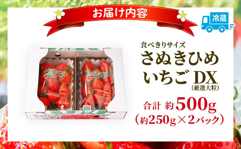 【先行予約】【食べきりサイズ】さぬきひめいちごDXパック　約500g | スイーツ いちご ストロベリー さぬきひめ 苺 冷蔵 フルーツ 旬 果物 青果 青果物 お裾分け ギフト 香川県 デザート 青果物 先行予約 季節限定 旬 おすすめ 三木町 |_mk006-141