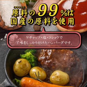 【矢野畜産】熊本県産 あか牛 手ごね生ハンバーグ 150g×10個 計1.5kg 産地直送 手づくり 国産原料 和牛 褐毛和種 あかげわしゅ にくやの プレミアム オリジナル メディア紹介 添加物不使用 記念日 贈答 ギフト 贈り物 阿蘇の自然の宝物 チルド 冷凍配送