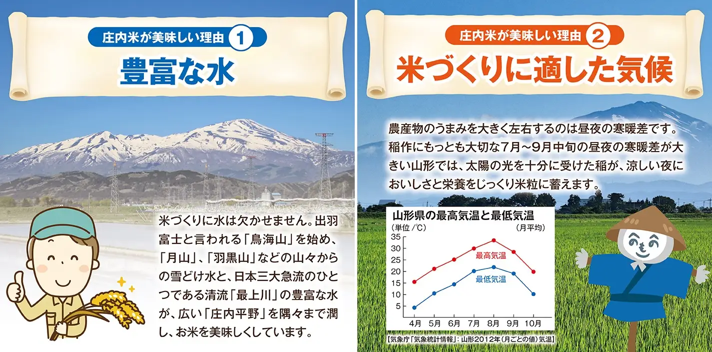 SD0304　11月下旬配送／【3回定期便】令和8年産［精米］雪若丸　5kg×3回(計15kg) JM