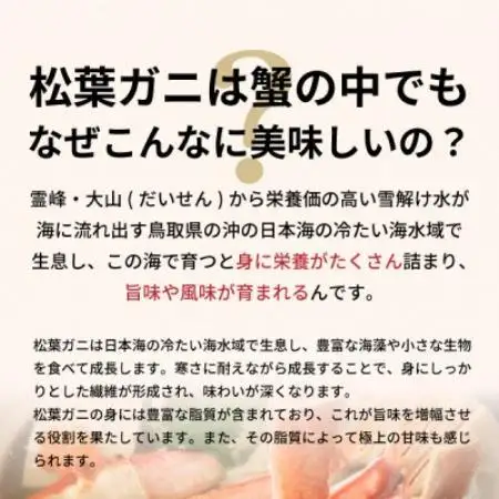 【2027年1月以降順次発送】[冷凍]訳あり松葉ガニ約3kg詰め合わせ　OM-14-2【配送不可地域：離島】【1745689】