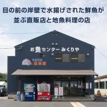 【11月中旬以降順次発送】ブランドタグ付ボイル松葉ガニ　600～700gを2枚　OM-27【配送不可地域：離島・北海道・沖縄県・東北・信越、北陸】【1745695】